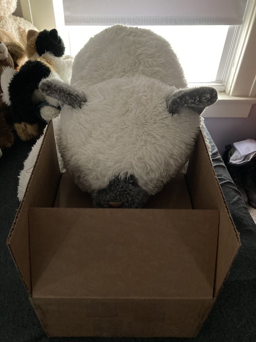 DuskySamCat's tweet image. Sniff sniff
“What the heck is this?”
(Rustle rustle)
“A CAT? Wait, a cat MASK?! What gives?!”