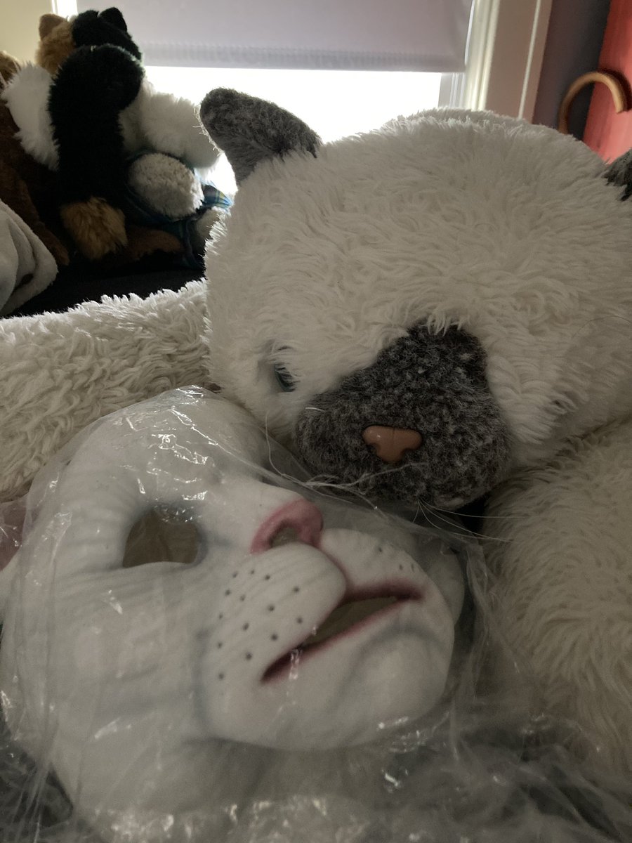 DuskySamCat's tweet image. Sniff sniff
“What the heck is this?”
(Rustle rustle)
“A CAT? Wait, a cat MASK?! What gives?!”