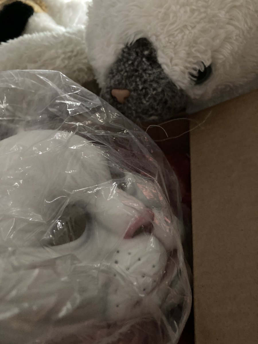 DuskySamCat's tweet image. Sniff sniff
“What the heck is this?”
(Rustle rustle)
“A CAT? Wait, a cat MASK?! What gives?!”