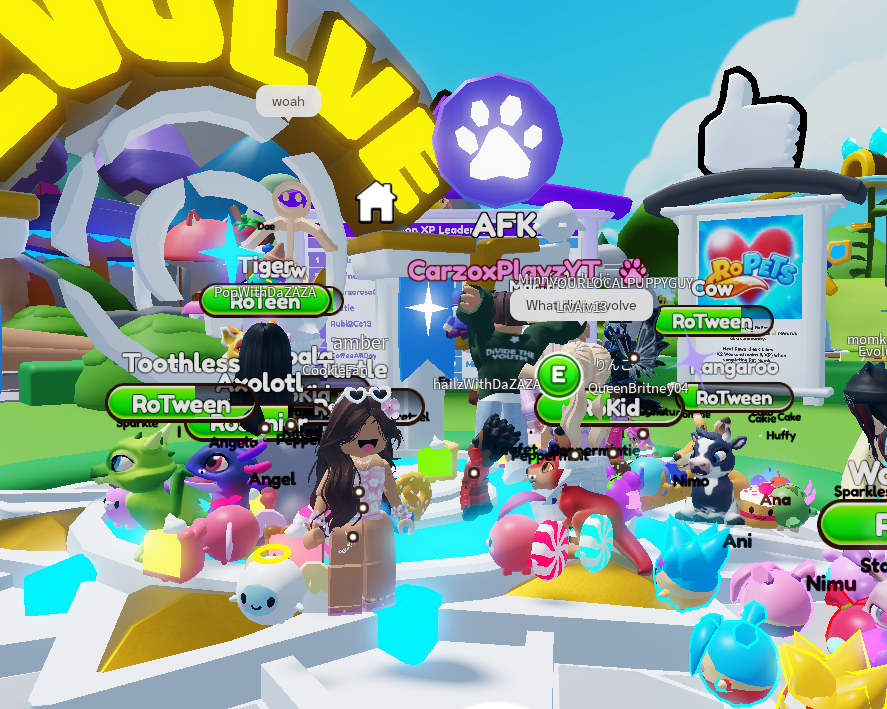 CarzoxPlayzRblx's tweet photo. Today was amazing!!! I was able to get my turtle collection to be done!! and wan an give a huge shout out to @QueenBritney04 for the help!!!!! this was an amazing time and happy i was able to share this moment with the people in the game!! #ropets #ciaocommunity https://t.co/2qsmMmXju0