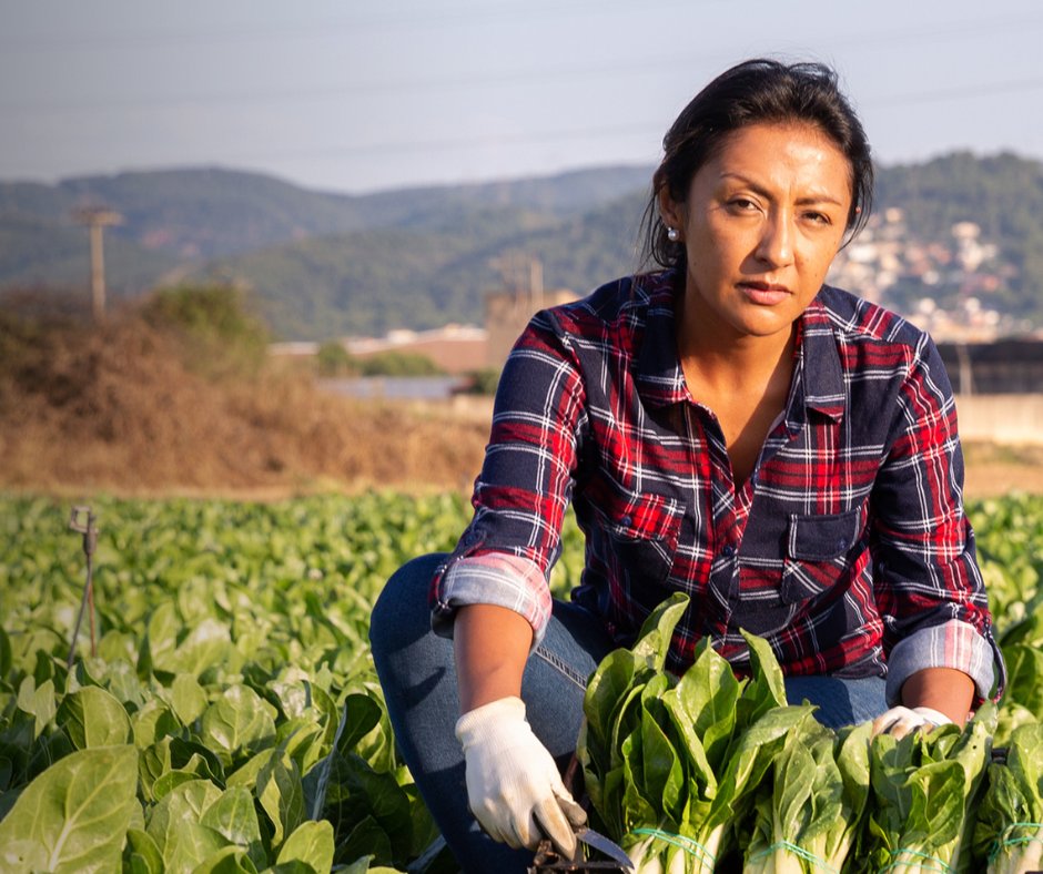 ByondPesticides's tweet photo. In April, we released a #calltoaction inviting the public to urge @EPA to immediately suspend registration of #Dacthal due to significant #health risks to #farmworkers & their families. Today, #EPA announces emergency suspension, the 1st in almost 40 years. #environmentaljustice https://t.co/2VwItpKDdM