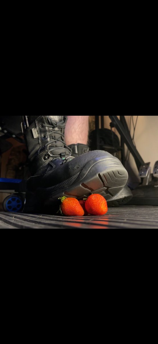 TerminalBoot tweet media