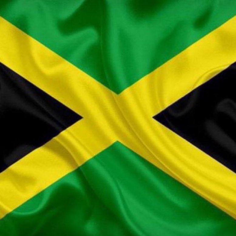 ImChevvii's tweet image. The flag  The face