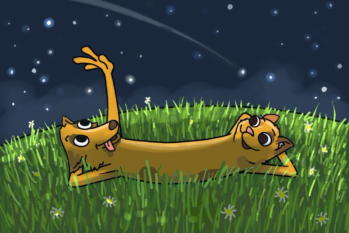catdog_meme's tweet image. Chillin’ under the stars

$CATDOG