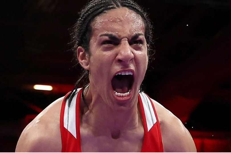 المرأة التي جعلت الغرب الجاحد يفرق بين المرأة و الرجل تترشح رغم أنفه الى النهائي .. وتوجه لكمتها الأقوى والأعنف نحو وجهه المنافق ..

ابنة الشعب الجزائري التي تقود لوحدها ثورة عالمية ضد " الحُڤرة " باسم كل المظلومين والمهمشين والمحقورين.

 الذهب بإذن الله يا #إيمان_خليف  👊🤛