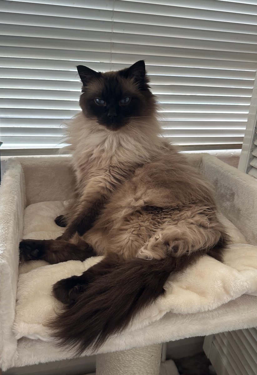 Coco KC limbering up for 2025!