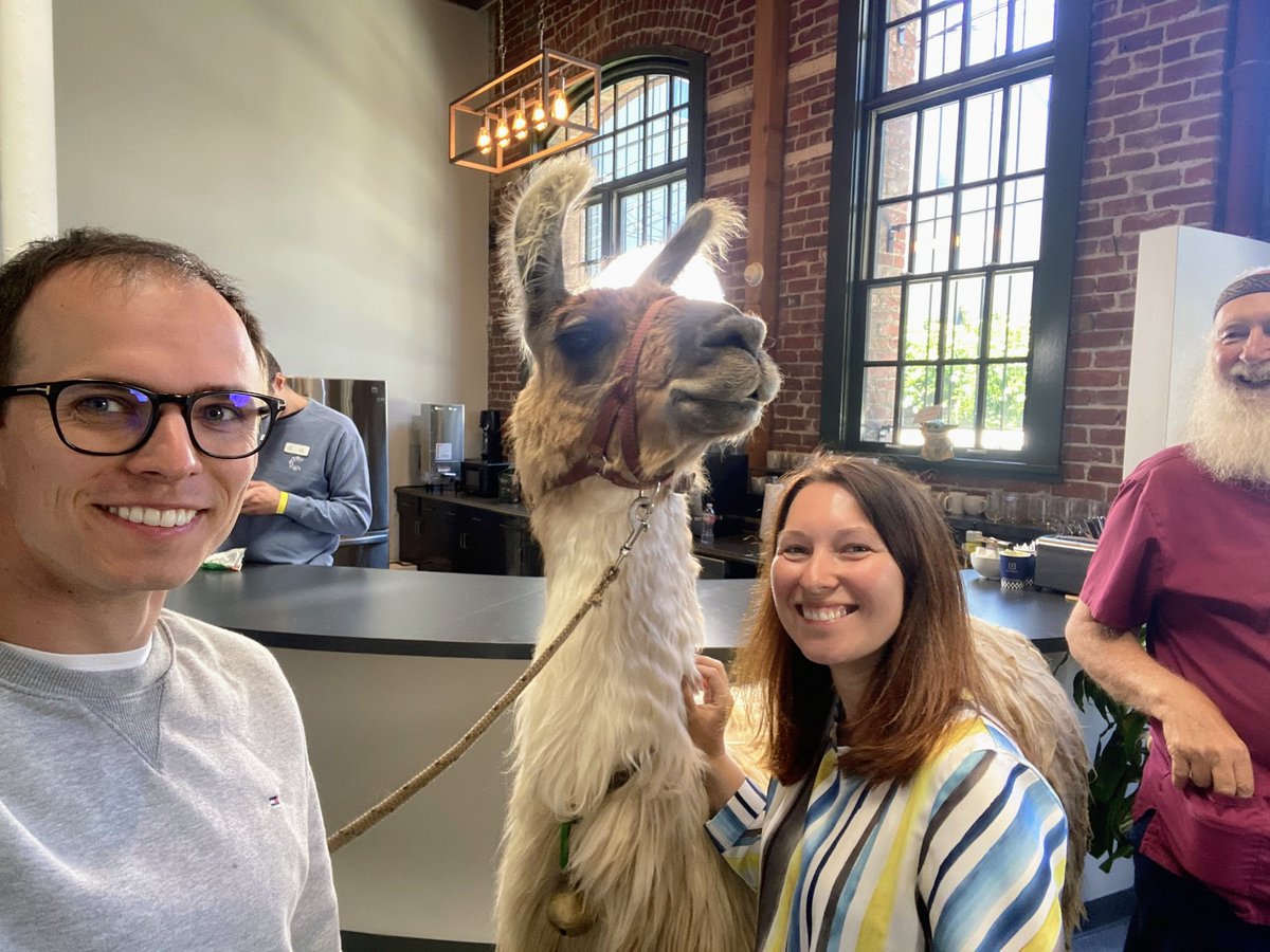 Agnieszka Szefer tweet media