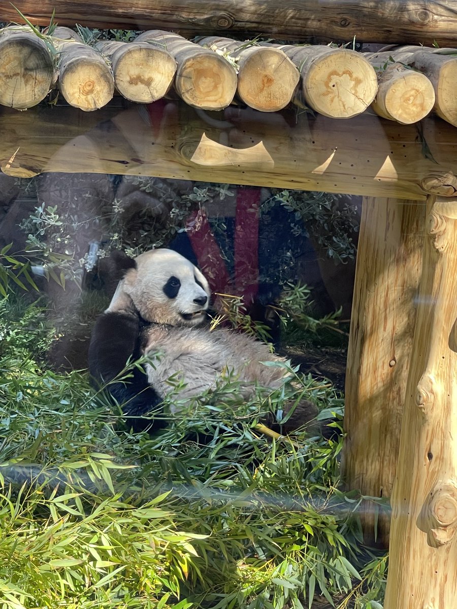 Caroline Freund tweet media