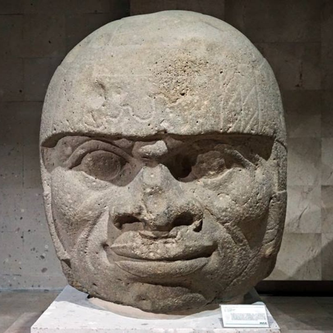 panda_profesor's tweet image. Cabezotas!
Las cabezas de la cultura #olmeca son esculturas de piedra masivas. Sólo se han encontrado 16 de estos monumentos. La más pequeña mide 1,45 de altura y la más grande 3 metros de altura. Sus pesos varían entre 5 y 40 toneladas. Unos gigantes de piedra! 
#arqueologia