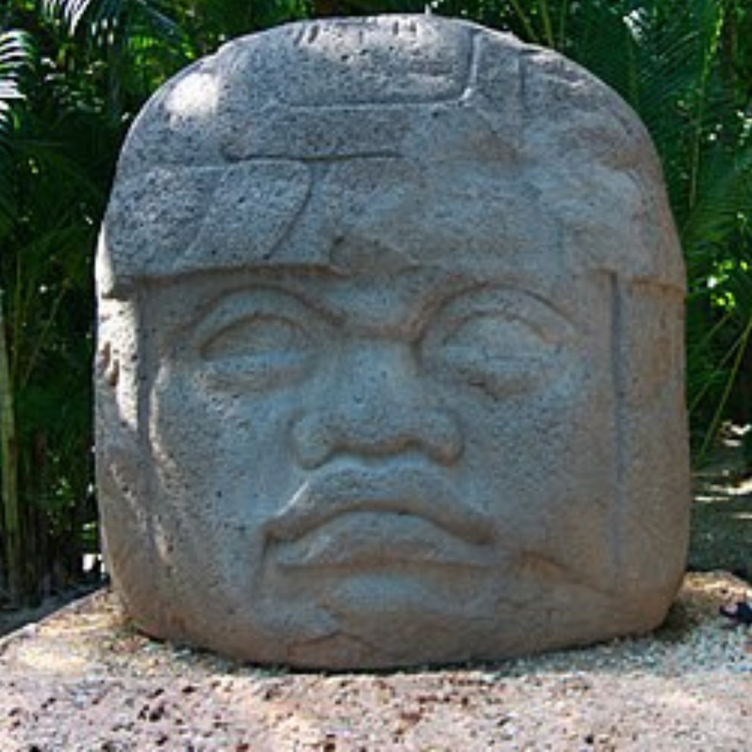 panda_profesor's tweet image. Cabezotas!
Las cabezas de la cultura #olmeca son esculturas de piedra masivas. Sólo se han encontrado 16 de estos monumentos. La más pequeña mide 1,45 de altura y la más grande 3 metros de altura. Sus pesos varían entre 5 y 40 toneladas. Unos gigantes de piedra! 
#arqueologia