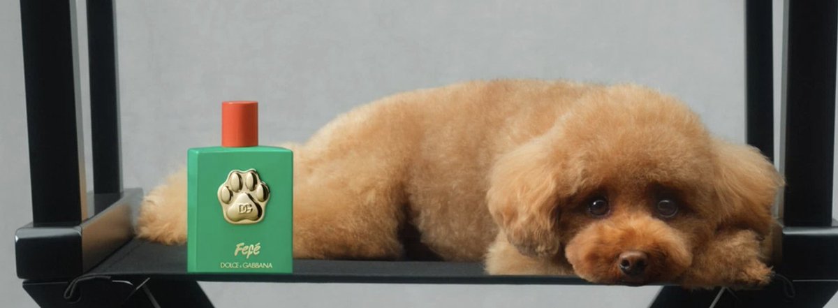 WurkHub's tweet photo. Brilliant #marketing The average US household owns 1.46 dogs and 1.78 cats https://t.co/FntDpdYmtX https://t.co/R7ko2qiPr6