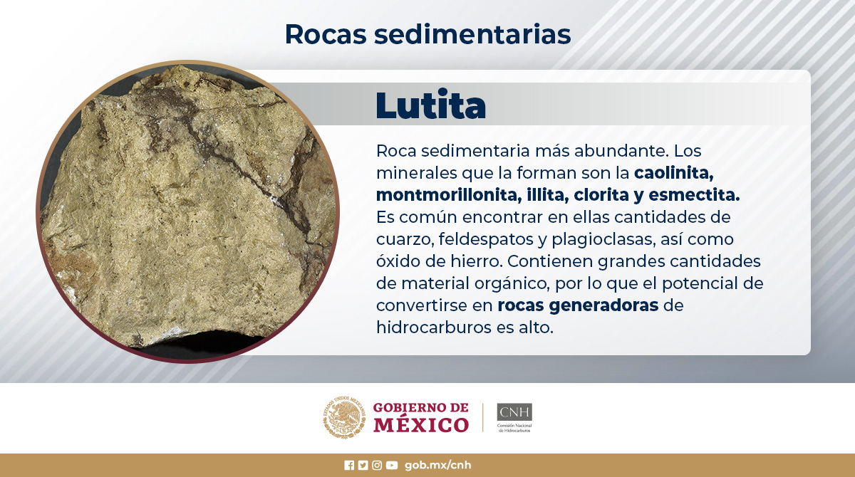 CNH_MX's tweet photo. #CNHLoExplica | Las rocas sedimentarias se forman a partir de la precipitación y acumulación de material mineral de una solución o por la compactación de restos orgánicos que se consolidan en rocas duras.
Algunas rocas sedimentarias son:
#CNH | #Hidrocarburos https://t.co/R9GlhemeDP
