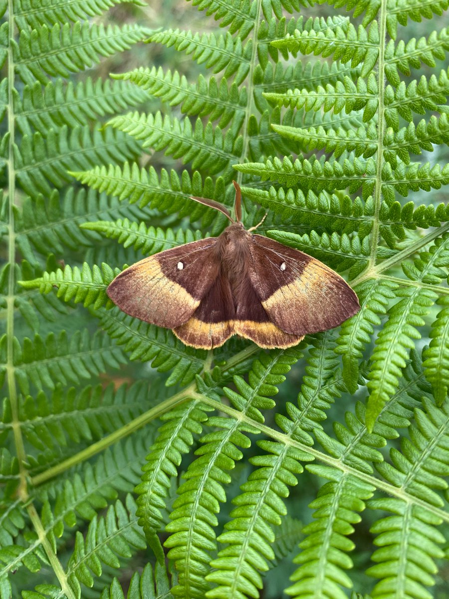 Stephen Howell tweet media