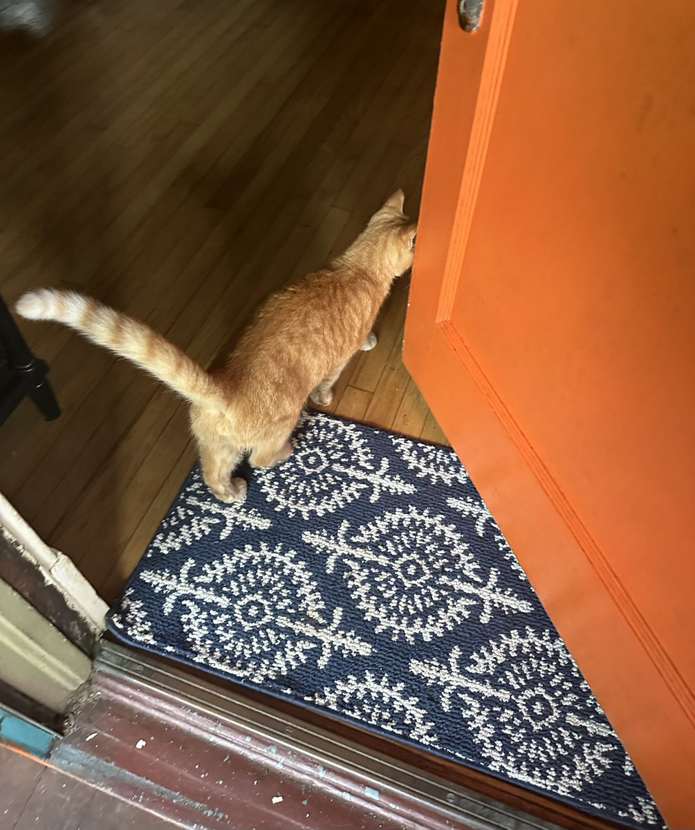 Patrick Skinner tweet media