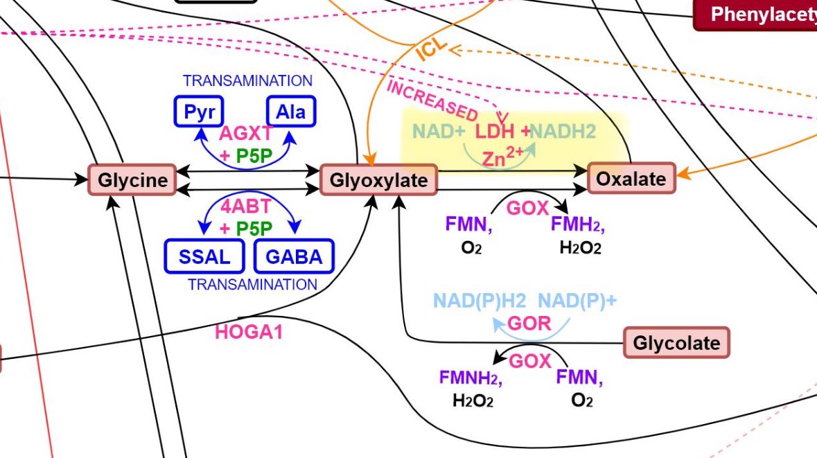 Joshua Leisk tweet media