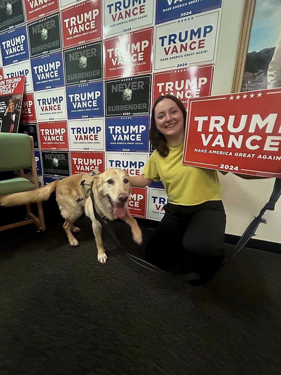 lento. @NKZ_lento - Twitter Profile | Sotwe