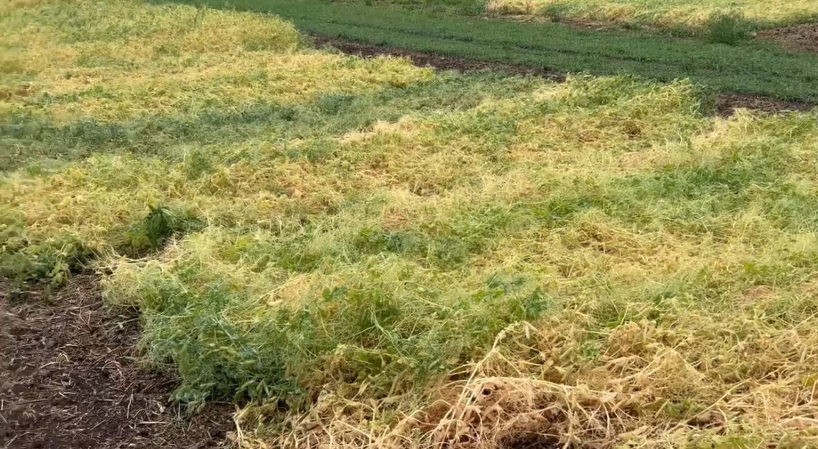 MAGresearch tweet media