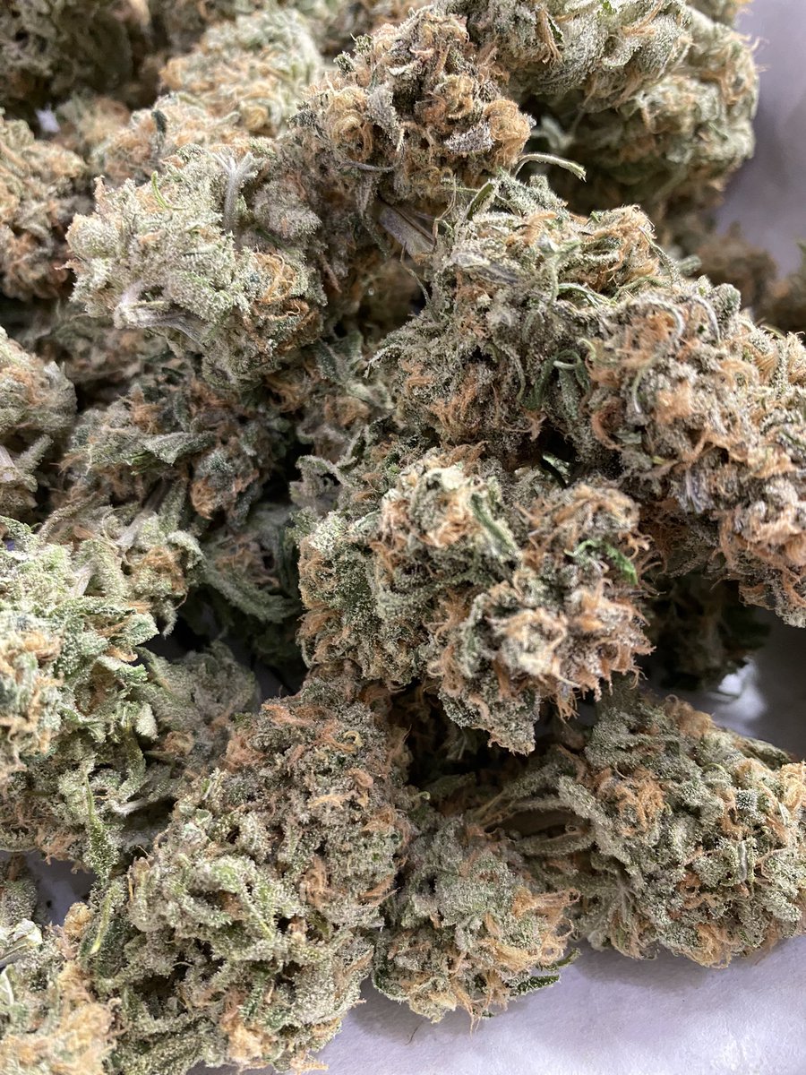 Sky Master on the trim table ✂️

#BeHappy #Canna4Climate #CannabisAlliance #NWLeaf #TheStranger