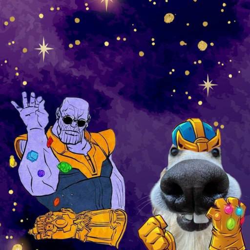 goofcto's tweet photo. The power's in my hands! No jeet will stand in our way. https://t.co/RTMFoUuVfx