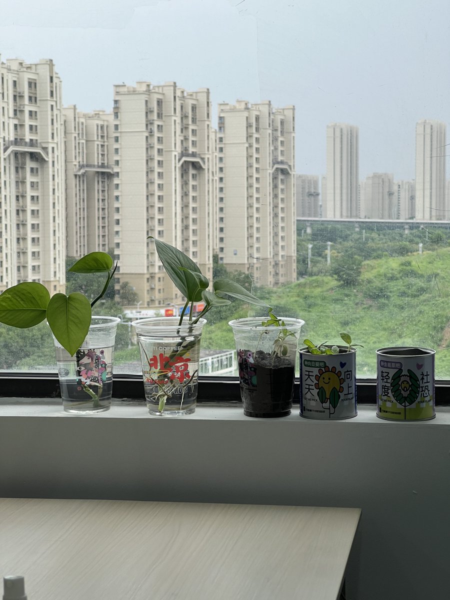 My little garden🥰