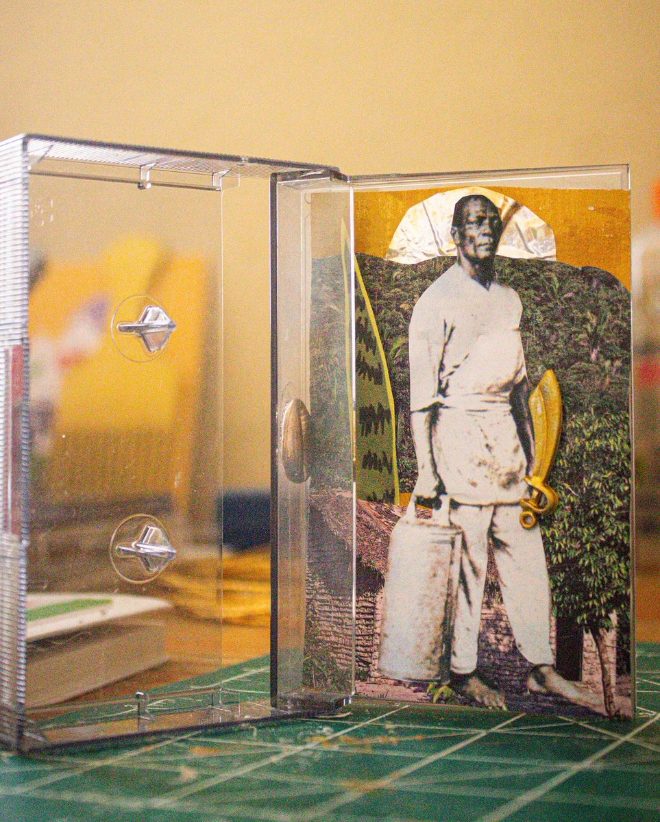 Alexia Ferreira tweet media