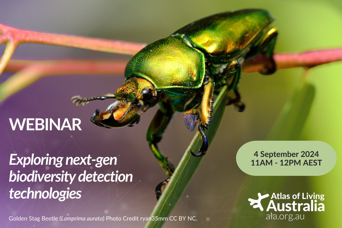 Atlas of Living Aust (@atlaslivingaust) on Twitter photo โ๏ธ Don't forget to register for our next ALA webinar 4th September 11AM-12PM AEST! 
Our next webinar - Exploring next-gen biodiversity detection technologies - brings together experts in camera trapping, ๐ธ eDNA ๐งฌ and ecoacoustics! ๐ต
Register here: ๐ spr.ly/6012cIWky โ๏ธ Don't forget to register for our next ALA webinar 4th September 11AM-12PM AEST! 
Our next webinar - Exploring next-gen biodiversity detection technologies - brings together experts in camera trapping, ๐ธ eDNA ๐งฌ and ecoacoustics! ๐ต
Register here: ๐ spr.ly/6012cIWky