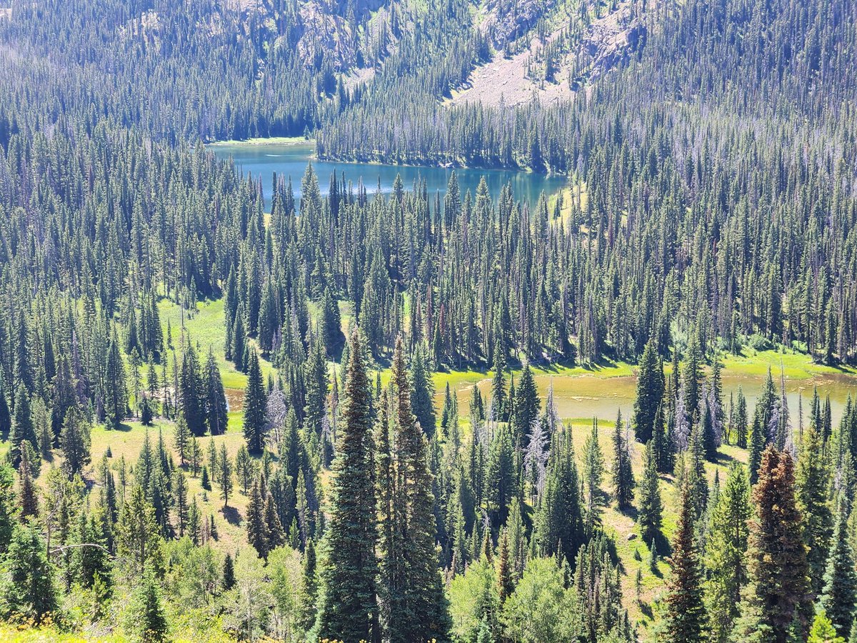 Heather Masters tweet media