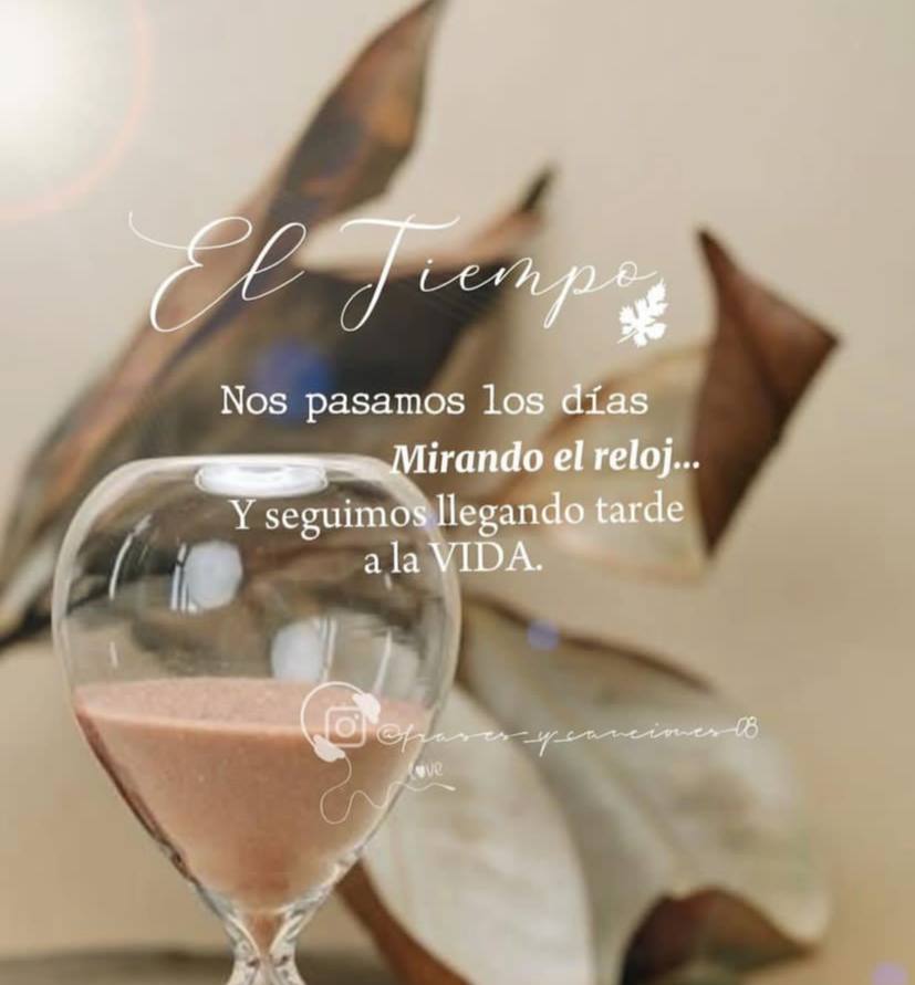 RRSS MERIDA (@meridarrss) on Twitter photo 