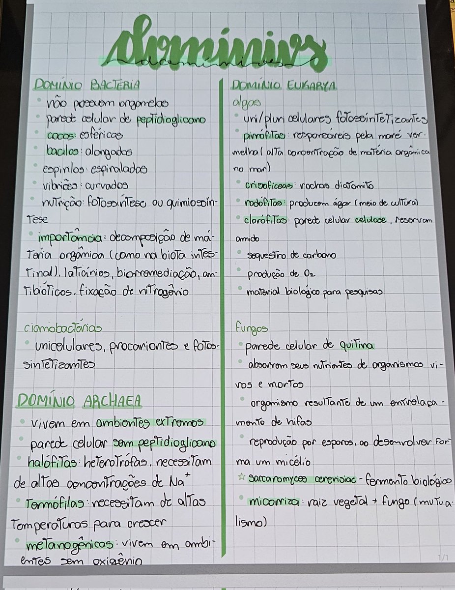 Ficou feio 😪 mas tem uma justificativa, estava exausta!! (Comecei o resumo no tamanho original e depois aumentei a tela, resultado? Metade do resumo com uma letra e tamanho e metade com outra letra e tamanho)