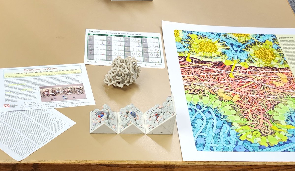 Daniel Williams tweet media