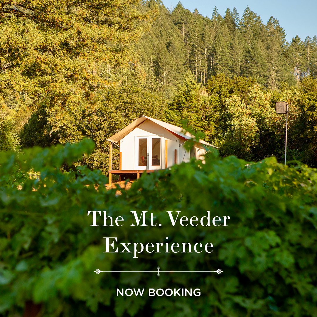 Introducing our greatest adventure yet: The Mt. Veeder Experience brings you outdoors &amp; up to elevations of 2,000' to explore our vineyards &amp; immerse yourself into the forces that define our coveted terroir. Learn more &amp; book your Mt. Veeder Experience at mtbravewines.com/taste.
