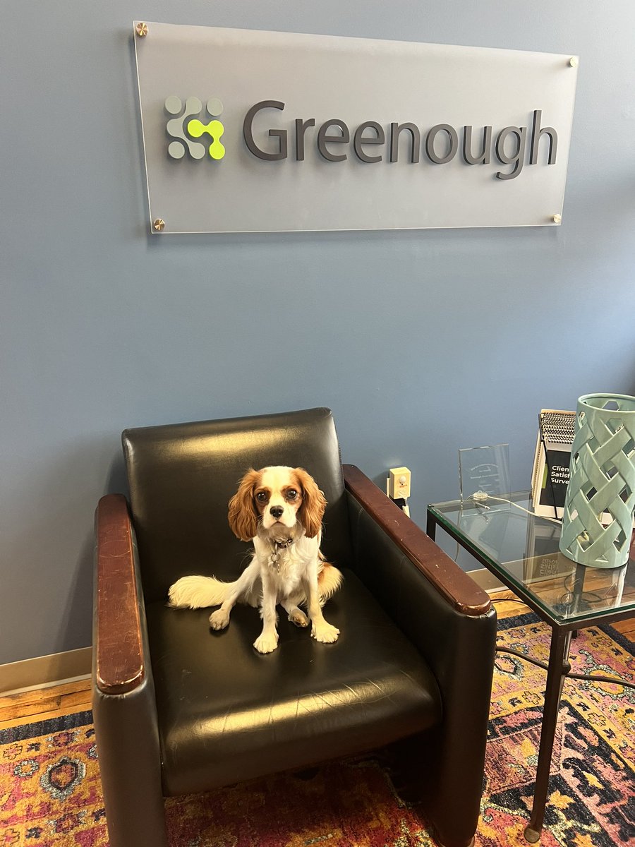 Angela Christoforos (@angelac_newspr) on Twitter photo There are multiple studies that show a correlation between interacting with dogs and increased happiness 🐶
My pup Pluto spread the love to my colleagues today at <a href="/GreenoughComms/">Greenough Communications</a>
😊 Impossible not to smile with this cutie in the office! There are multiple studies that show a correlation between interacting with dogs and increased happiness 🐶
My pup Pluto spread the love to my colleagues today at <a href="/GreenoughComms/">Greenough Communications</a>
😊 Impossible not to smile with this cutie in the office!
