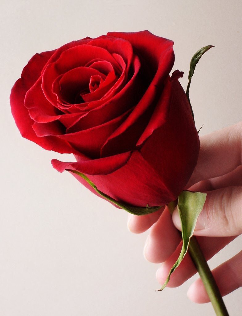 والله آني مدمن هواء آنفاسها
وآسعد في طلة عيونها
وآغرق من شفايفها وريقها الحالى
وآدفى بحظنها الدافي