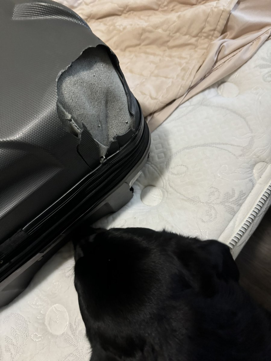 rubster217's tweet image. Apparently delta doesn’t care for your luggage 😐 and I can’t even get through to put in a claim because I get put on hold for 2 hrs and not even get properly helped. First it got lost then when it finally arrive this is how it comes.. @Delta this is unacceptable