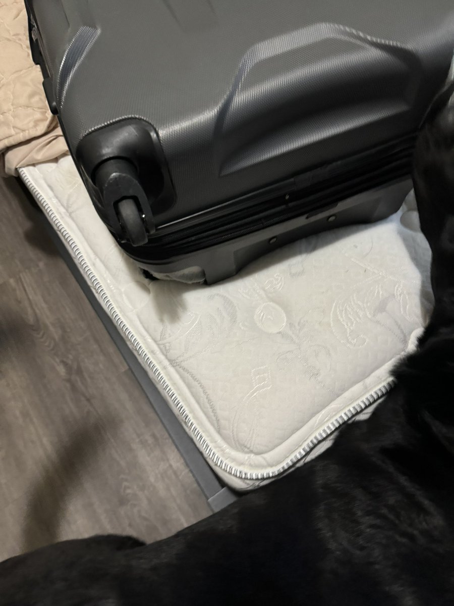 rubster217's tweet image. Apparently delta doesn’t care for your luggage 😐 and I can’t even get through to put in a claim because I get put on hold for 2 hrs and not even get properly helped. First it got lost then when it finally arrive this is how it comes.. @Delta this is unacceptable