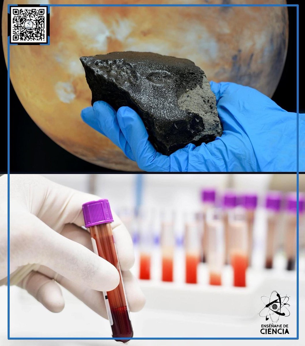 El hierro de este meteorito ☄️ y el hierro de tu sangre🩸 tienen un origen común en el núcleo de una estrella ☀️