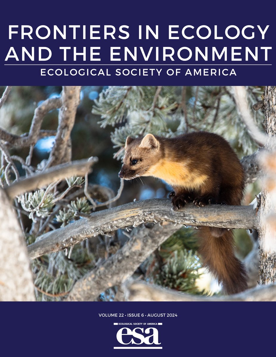 Our August issue has arrived! With a cover inspired by <a href="/iMauriel/">Miwa.</a> et al.'s study of marten and red fox behavior in the wake of wolf reintroduction on Lake Michigan's Isle Royale

Browse the issue here: esajournals.onlinelibrary.wiley.com/toc/15409309/2…