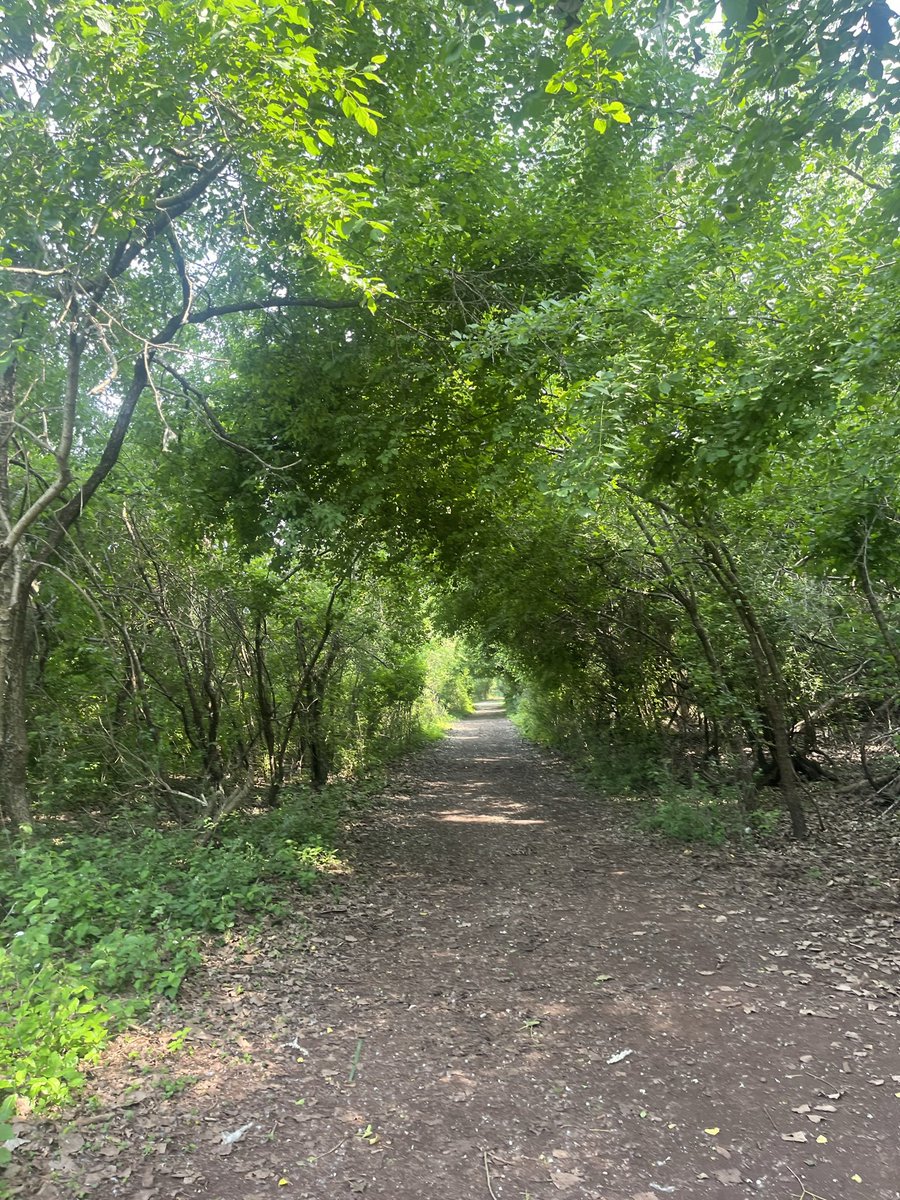 jennytherapy's tweet photo. nature therapy 
✨🤍🦌🦦🌲

#naturetherapy #tiftnaturepreserve
#buffalove https://t.co/l4bojvq4xF