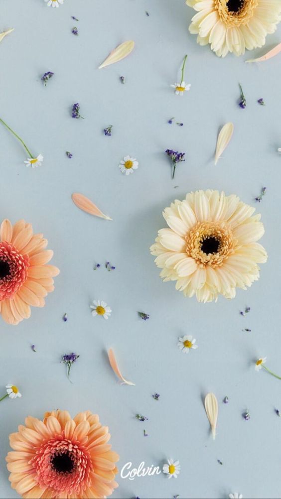 아침읽기 (@mrgmassdol01030) on Twitter photo 