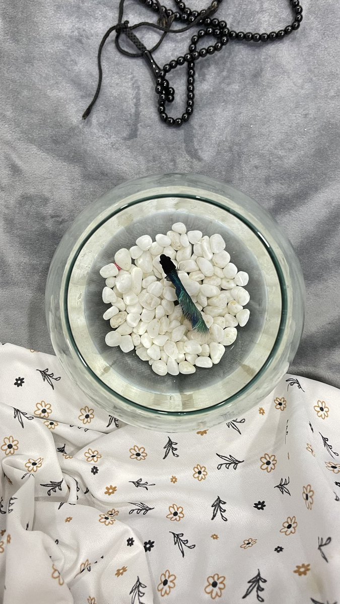 سموچة اليوم مستمتعه 🩵💆🏻‍♀️