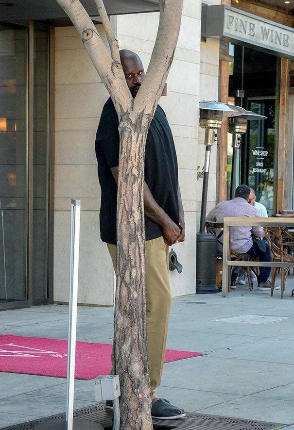 Fat bitches when they put their arm across their body in pictures