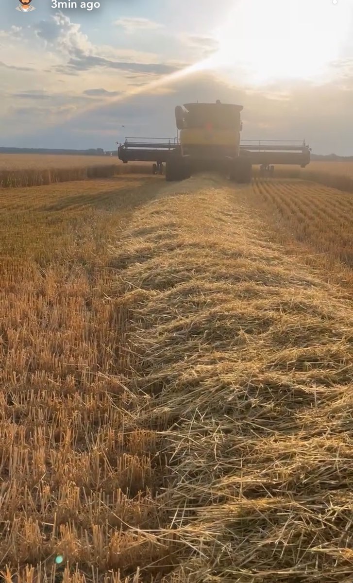 First test  in cnhr wheat 😏