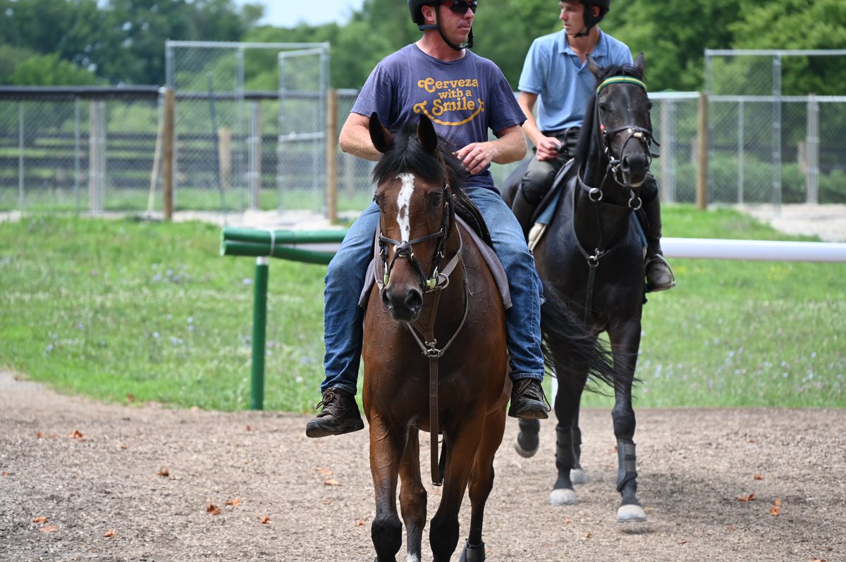 Ashwell Stable, LLC (@ashwellstable) on Twitter photo Team Ashwell heads up to the Spa 
For the Jonathan Kiser Memorial Novice Stake with 🤝Walk the Warrior 🤝
🥇 <a href="/jpbargary94/">Jamie Bargary</a> has the mount🥇
Owned by Liepers Fork 
Steeplechasers, LLC 
<a href="/TheNYRA/">NYRA (🗽)</a> <a href="/JumpingwithNSA/">NSA</a> Team Ashwell heads up to the Spa 
For the Jonathan Kiser Memorial Novice Stake with 🤝Walk the Warrior 🤝
🥇 <a href="/jpbargary94/">Jamie Bargary</a> has the mount🥇
Owned by Liepers Fork 
Steeplechasers, LLC 
<a href="/TheNYRA/">NYRA (🗽)</a> <a href="/JumpingwithNSA/">NSA</a>