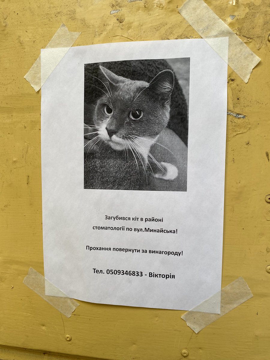 ланочка tweet media