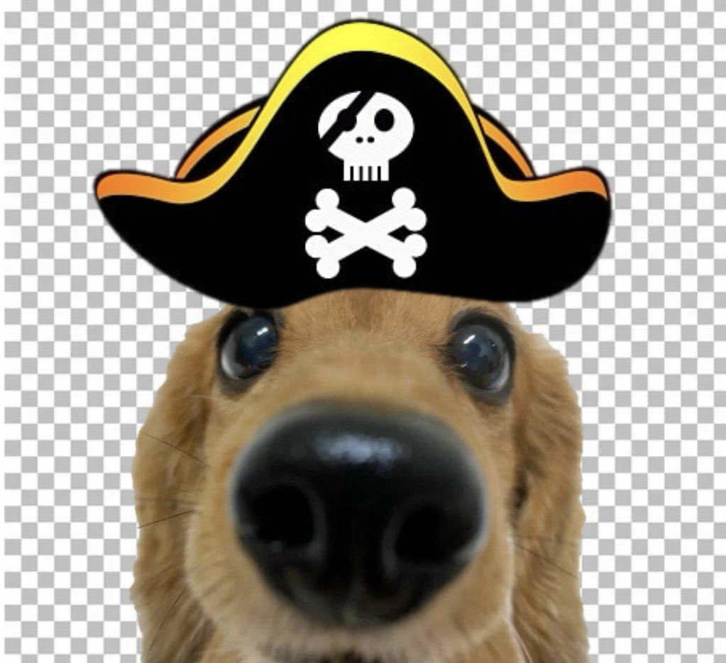 _CryptoJay_'s tweet photo. @Cold_xyz Cold you need to bid on $PNG 

This face is too cute to resist 🐶

@pngdogs0l 

J79CyDc2D4eCvi4tf2HcmnSUgCqyMmPsNy5CRncFpump https://t.co/xO6j27Ymth