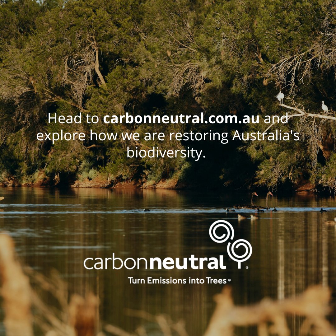 The number of species threatened with extinction in Australia has risen by 13, bringing the total to a staggering 2,224. Read more 🔗 hubs.ly/Q02KmV5c0
#Conservation #EndangeredSpecies #ProtectBiodiversity #Australia #EnvironmentalProtection