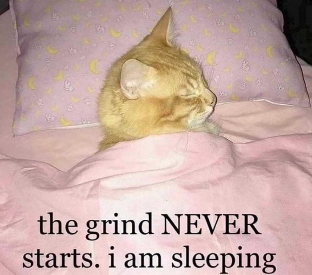 pickleloverr666's tweet image. eppy