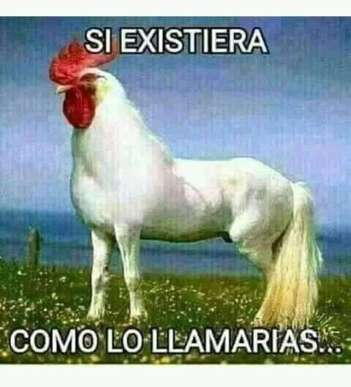 unsubnormal 🥰 tweet media