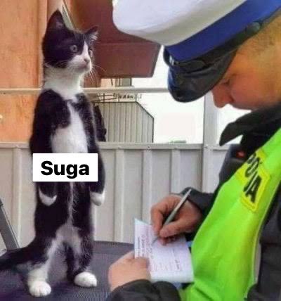 AgusDmmj's tweet photo. จะถึงบ้านอยู่แล้วเชียว ไม่น่าล้มเลย🤣🤣🤣 
#SUGA https://t.co/kXRO9hHmnD