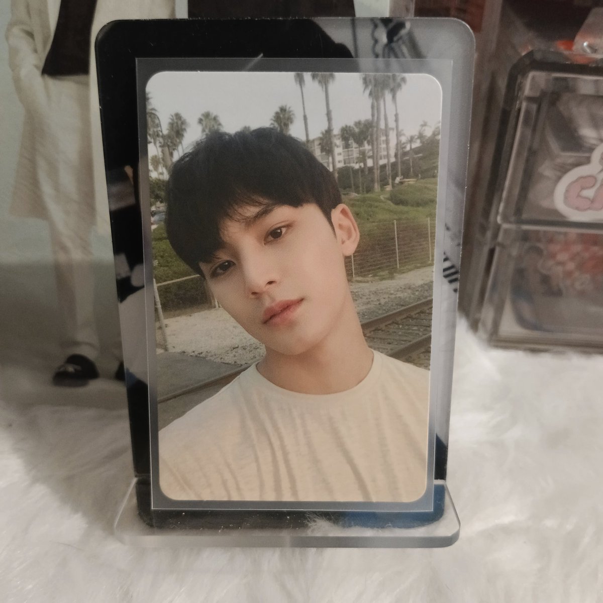 wonkyeomzz's tweet photo. wts lfb svt pc ph 

★ mingyu hengga dul 
160 + pf &amp; sf  ( see reply for condi ) 

— payo/ 3 days 
— gcash/maya
— ggx, lbc &amp; jnt 
— x sensi ( with mark )

t. minghao seungkwan vernon hoshi dokyeom woozi carver fml fts follow dear ver https://t.co/2Gga3HQs7q